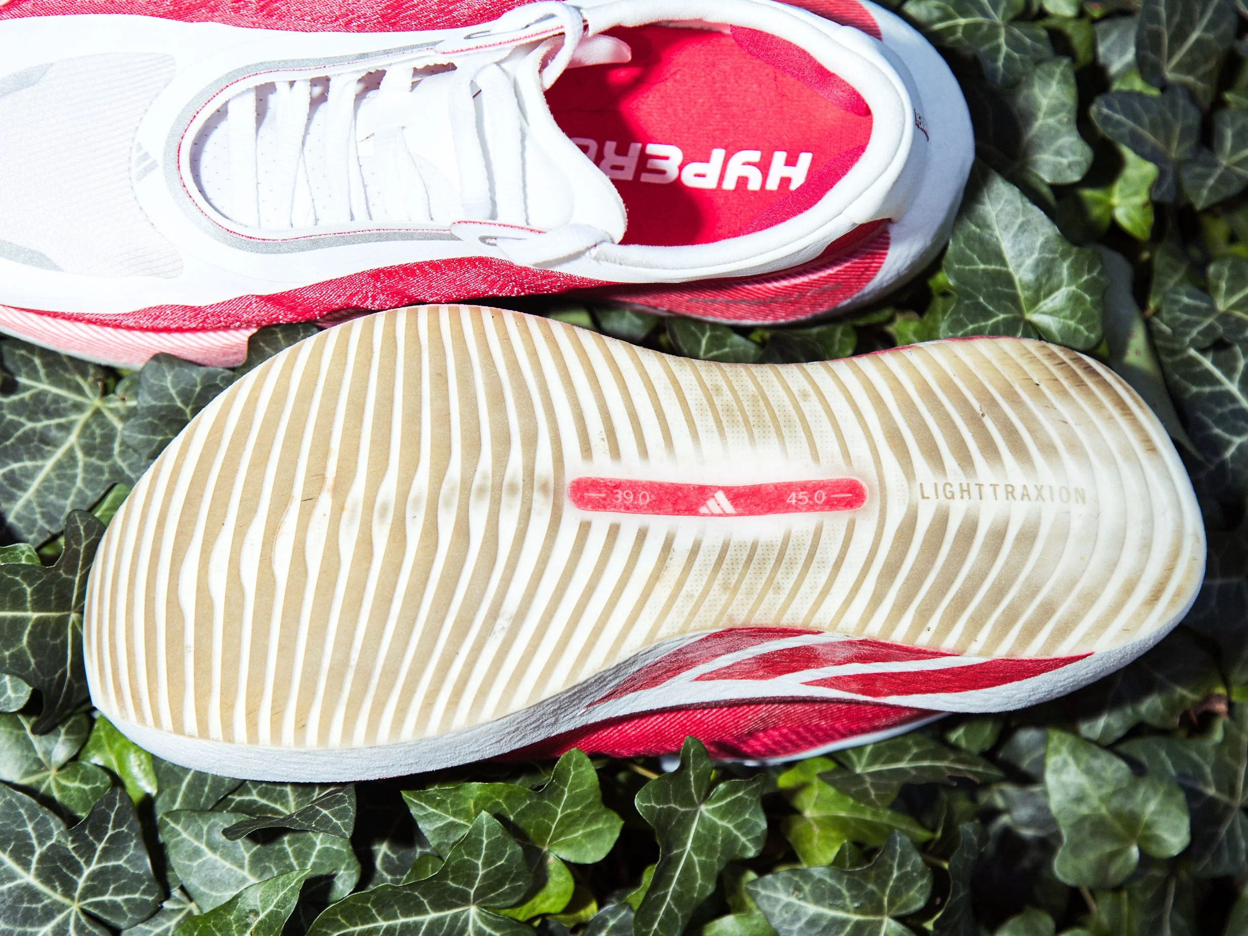 Red athletic shoe on a bed of green ivy, showcasing the sole and lacing details.