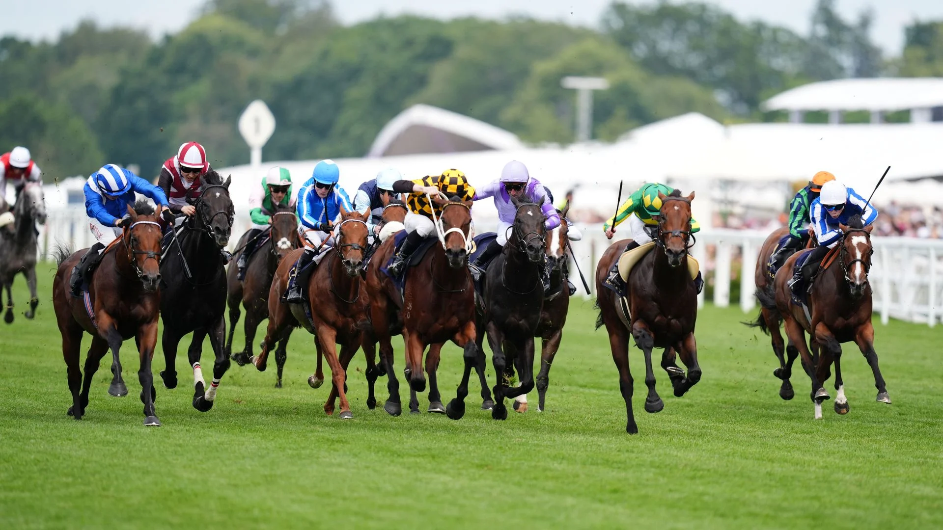 Almeraq bounces back to win Royal Ascot sprint spectacular